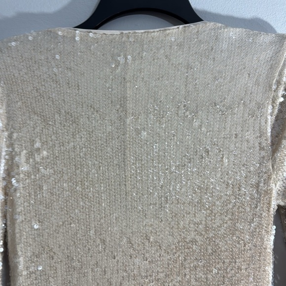Wild Fable Sequin V-Neck Dress in Cream Size Small Pull Over Long Sleeves - Picture 7 of 10